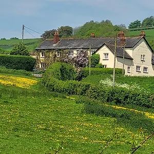  Apartment Beautiful Devon United Kingdom